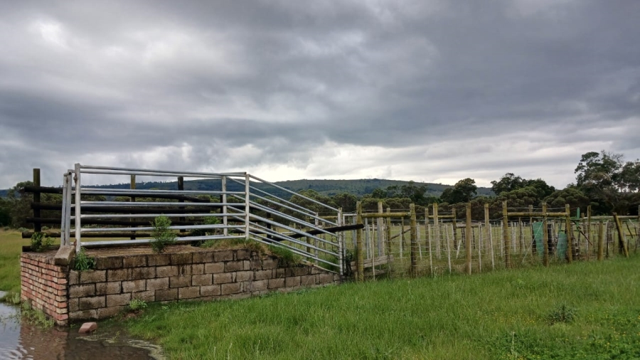 Commercial Property for Sale in Bathurst Rural Eastern Cape